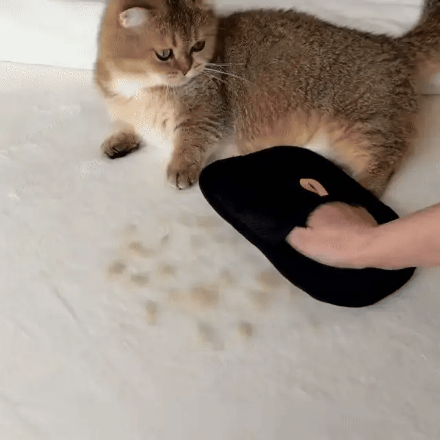 LintMaster Tüy Temizleme Pedi