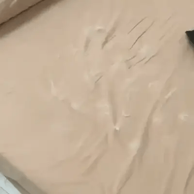 LintMaster Tüy Temizleme Pedi
