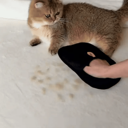 LintMaster Tüy Temizleme Pedi